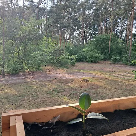 Lesne Zacisze * Wijewo