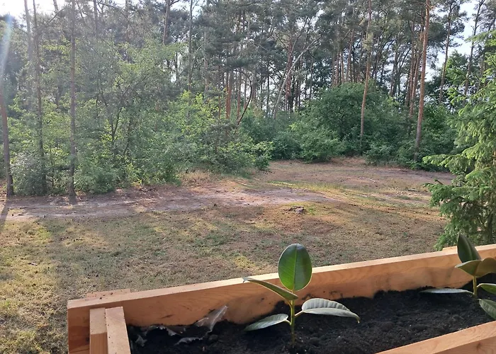 Lesne Zacisze * Wijewo